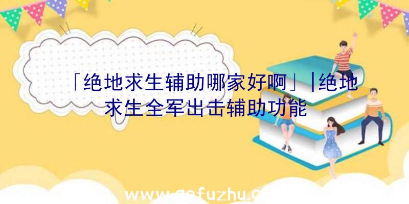 「绝地求生辅助哪家好啊」|绝地求生全军出击辅助功能